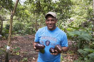 2021. San José de Ocoa, Dominican Republic. A farmer shows his production of organic avocados. © World Bank.