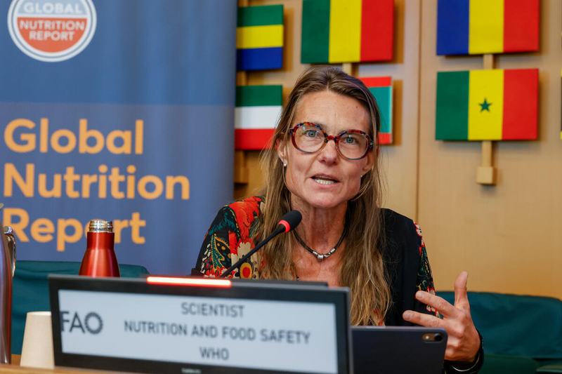Katrin Engelhardt, scientist at the World Health Organization, speaks to the role primary health care can play in systems integration. Photo: ©FAO/Pier Paolo Cito
